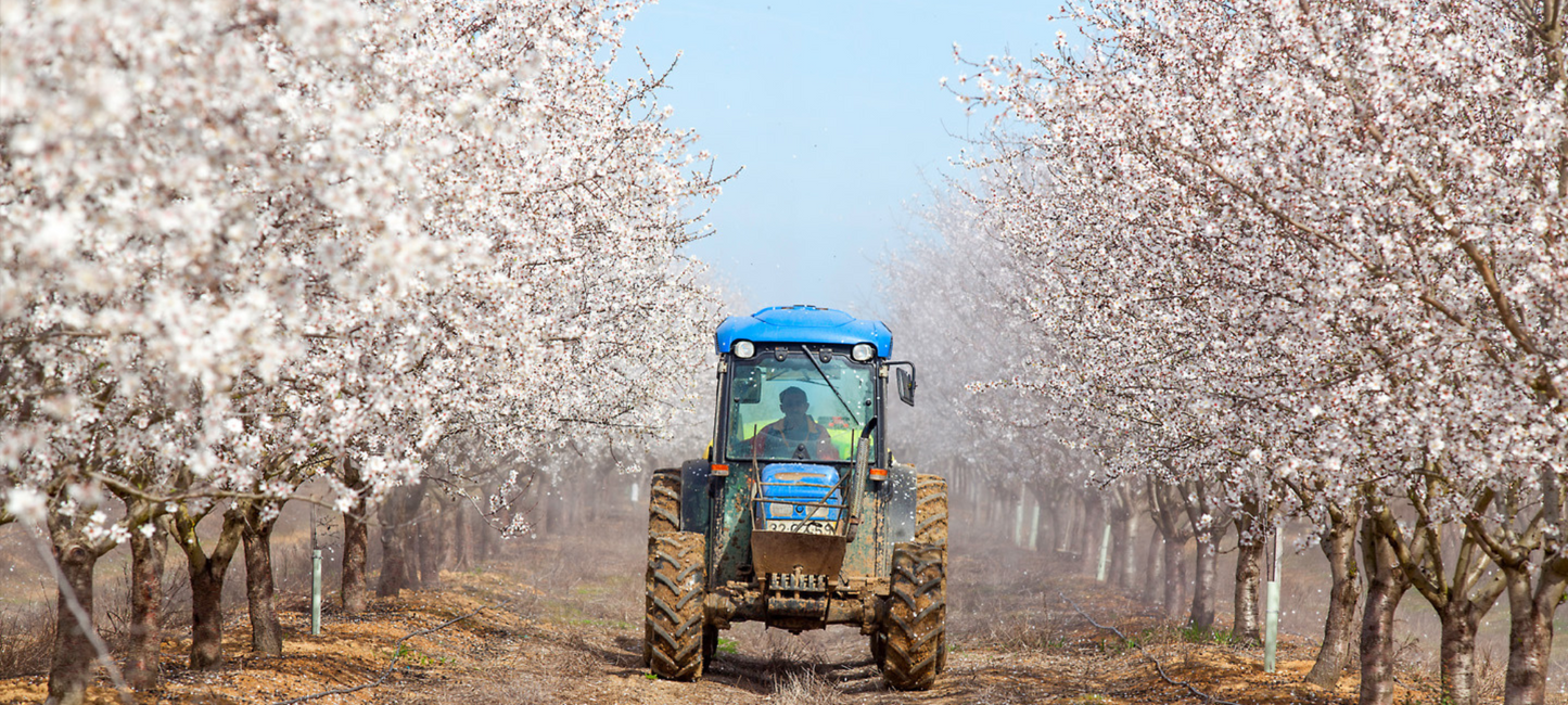 Header Desktop Almond Oil Partner Saucha