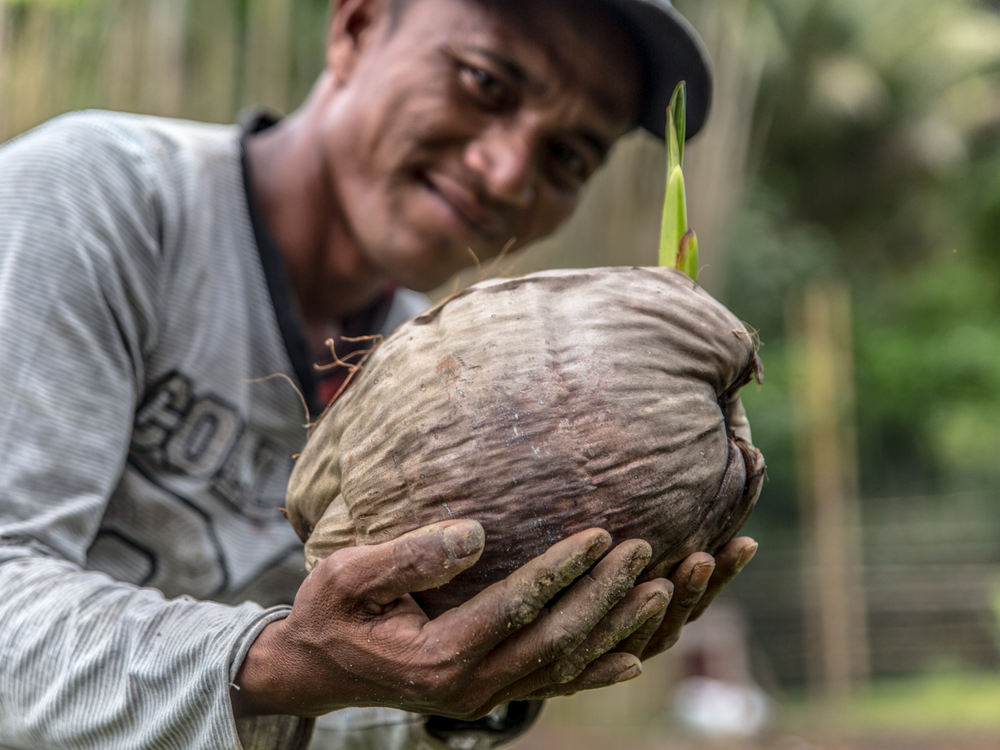 Organic Coconut Saucha