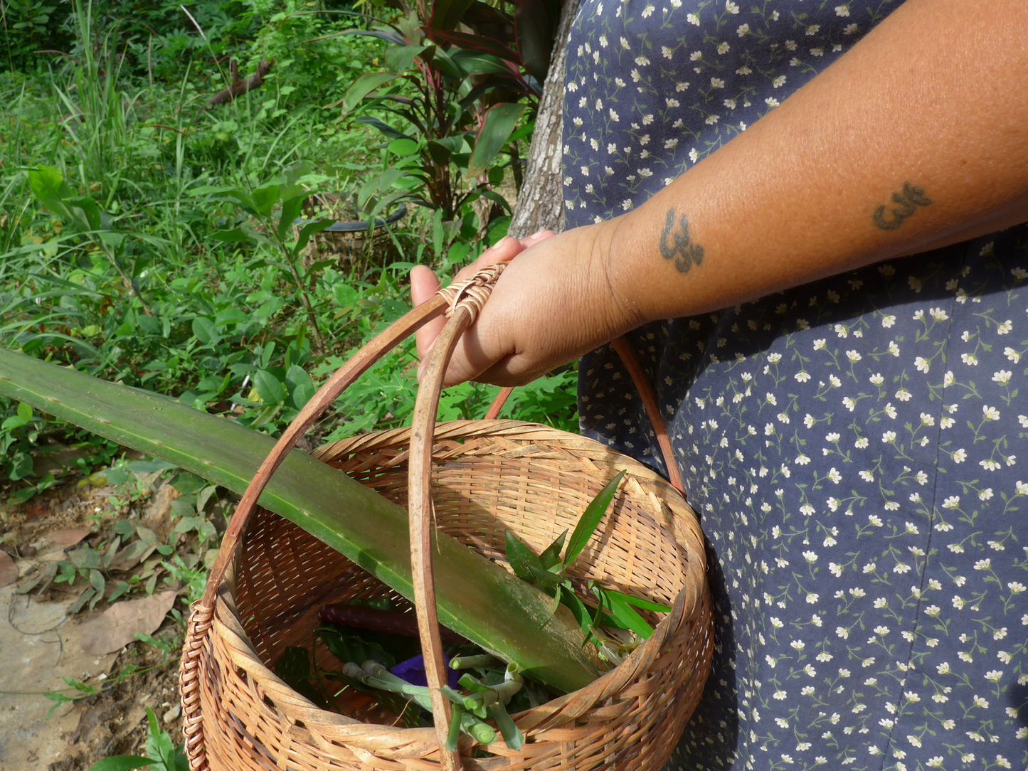 Toi x Saucha | Organic Skincare